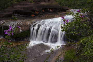 Tham Phra Waterfall Beautiful nature at Bueng Kan Province,Thailand