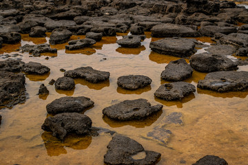 Volcanic stones in the Fuerteventura