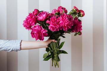 Female hand holding beautiful bouquet with fragrant peonies