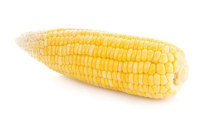 Fresh corn isolated on white background