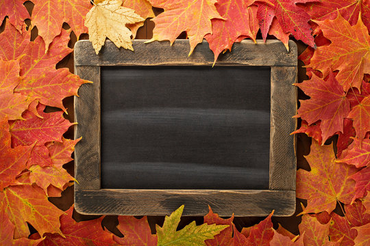 Fall background with a chalkboard