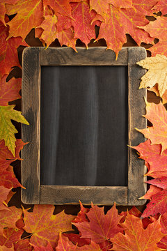 Fall background with a chalkboard