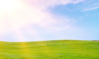 Fototapeta na wymiar Field of green grass with white clouds