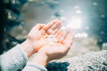 桜を手で持つ女性