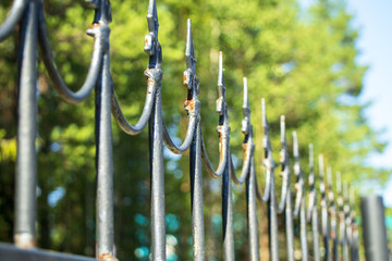 The metal, forged fence.