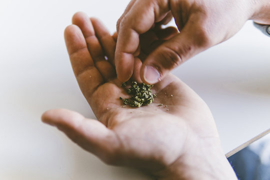 Cropped hands of man making marijuana joints at home