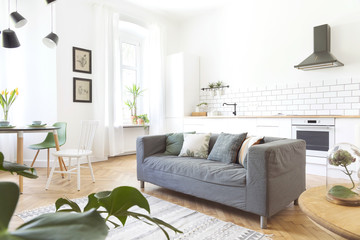 Modern and design scanidnavian open space with kitchen and living room. Sunny and bright space whit white brick walls , a lot of plants and sofa.