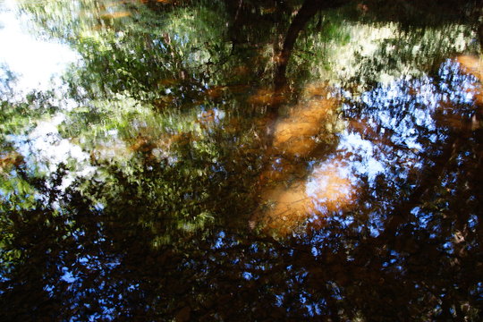 Abstrait
