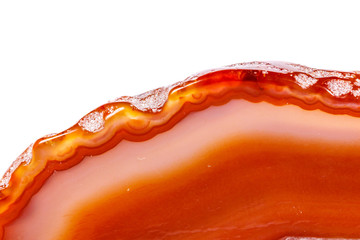 Macro mineral orange agate in crystals on white background