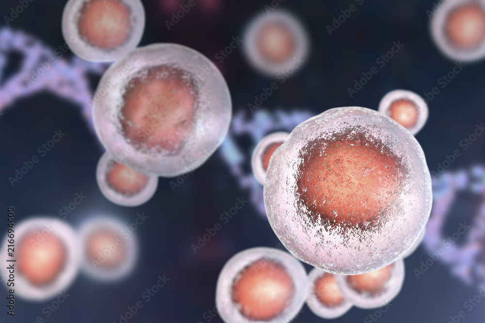 Wall mural human cells on a background with dna, 3d illustration. stem cells research