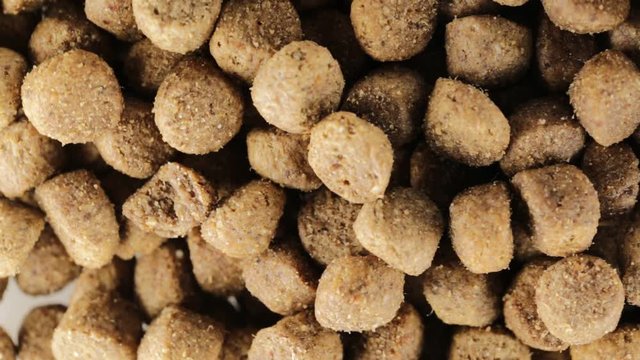 Croccantini per cane