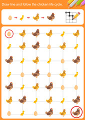 Draw line and follow the chicken life cycle.  Worksheet for education.