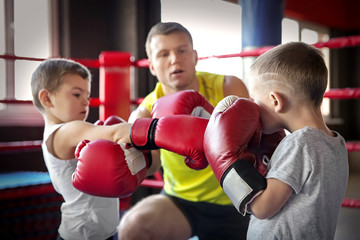 Little boys fighting in boxing ring