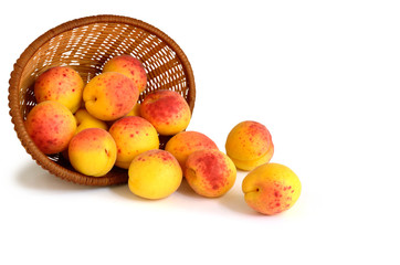 Apricots overturned on a white surface from a wicker basket
