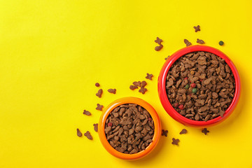 Bowls with food for cat and dog on color background. Pet care