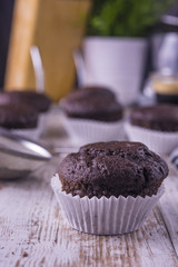 muffins Chocolate