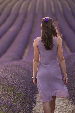 Brunette woman in purple dress in a lavender field at sunset, valensole, provence, france