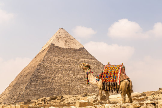 Camel near pyramids and ankh in desert.