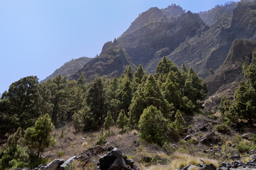 Fototapeta na wymiar Blick in die Caldera de Taburiente La Palma