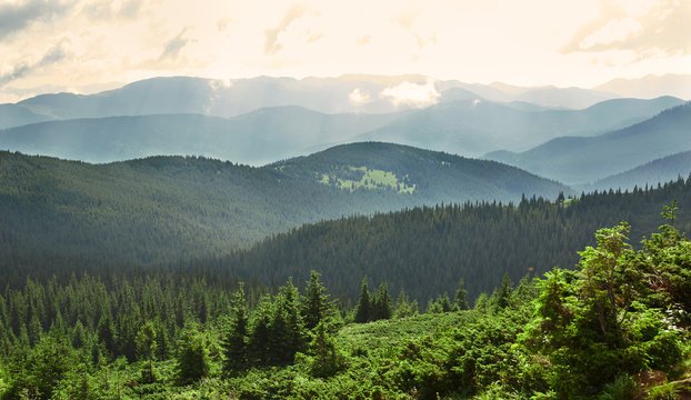 Magic misty forest in the morning. Summer landscape in the mountains. early morning. Carpathian Mountains, Ukraine, Western Ukraine, Vorohta.