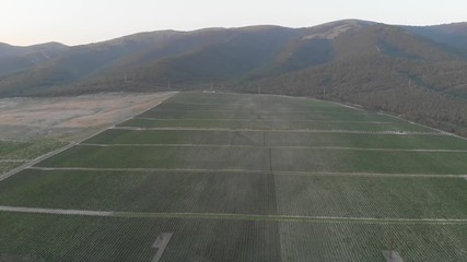 Aerial photography of the vineyard at sunset.