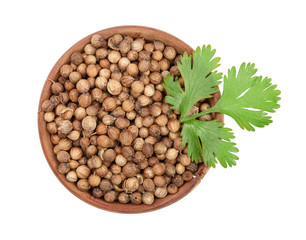 coriander seed and leaves in wooden bowl isolated on white background. Top view. Flat lay pattern