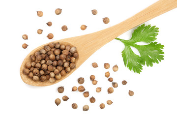 coriander seed and leaves in wooden spoon isolated on white background. Top view. Flat lay pattern