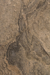 stone texture. surface of the marble with brown tint