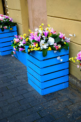 голубая клумба с цветами, на улице выложенной плиткой