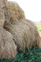 Bales of meadow hay