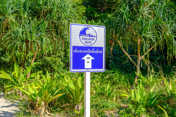 Pointer indicating the direction for evacuation from tsunami. Warning sign: Tsunami evacuation route.