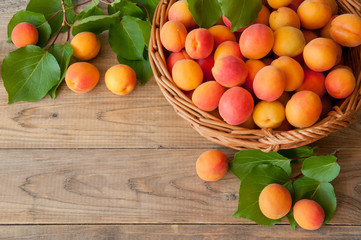 Fototapeta na wymiar Many freshly picked ripe apricots with leaves in a basket on a wooden background. Frame for text.