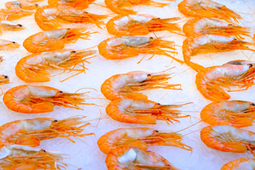 Fresh shrimps on ice in sea food restaurant.