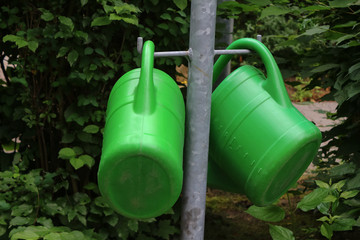 Gr&uuml;ne Gie&szlig;kannen