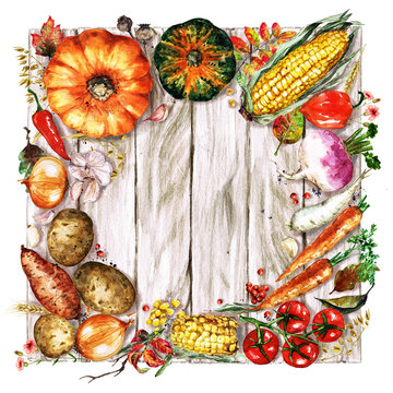 Autumn Vegetables. Watercolor Illustrations.