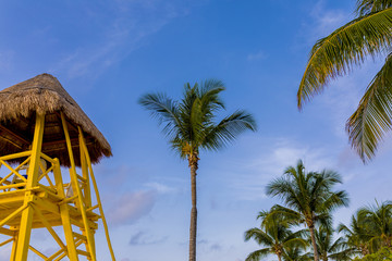 View of a palm tree and a wooden lifeguard tower or station towers against a vibrant tropical summer blue sky in the carribean