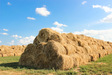 Bales of meadow hay © natalia8926