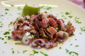 Warm salad from an octopus