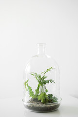 Panoramic top view of the sky with clouds, green forest and field.