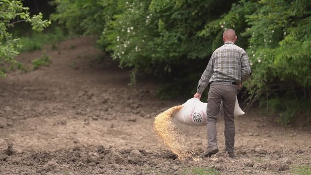 Game ranger dispersing corn beans