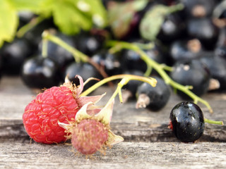 Iron mug with black currant and raspberry.
