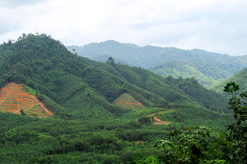 Fototapeta premium Tailand view 