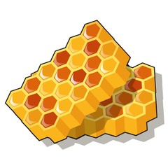 Sweet golden honeycomb with honey isolated on white background. Natural healthy food. Vector cartoon close-up illustration.