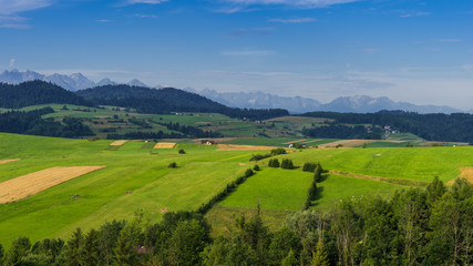 Fototapeta na wymiar Blick von Grywałd über den Nationalpark Pieninen zu den Gipfeln der Hohen Tatra; Polen