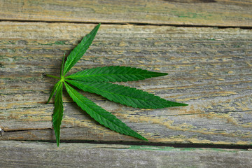 cannabis leaf on old wooden table