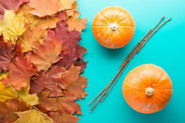 Colorful composition of autumnal sale concept