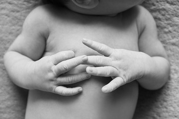 Hand infant on tummy