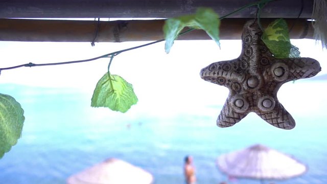 Dry Sea Star and Leaves near Beach