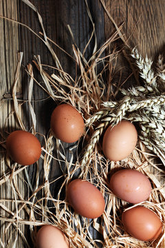 Egg. Fresh farm eggs on a wooden rustic background