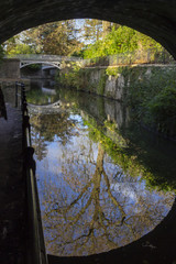 Fototapeta na wymiar Water reflections during a walk along the Bath waterways. After crossing down the bridge a wonderful landscape appear in front of our eyes with trees and bridges reflecting onto the water. Bath, UK